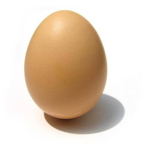 Chicken Egg